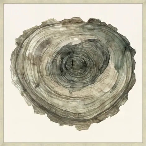 Oversized Tree Ring Art