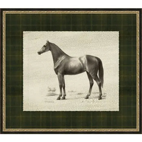 Patterned Dignity Collection