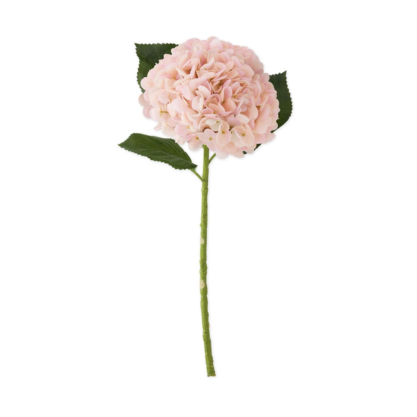 Real Touch Hydrangea Stem Collection