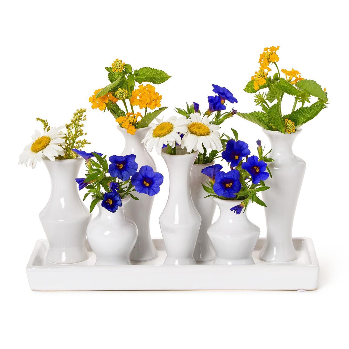 White Multi Vase Collection