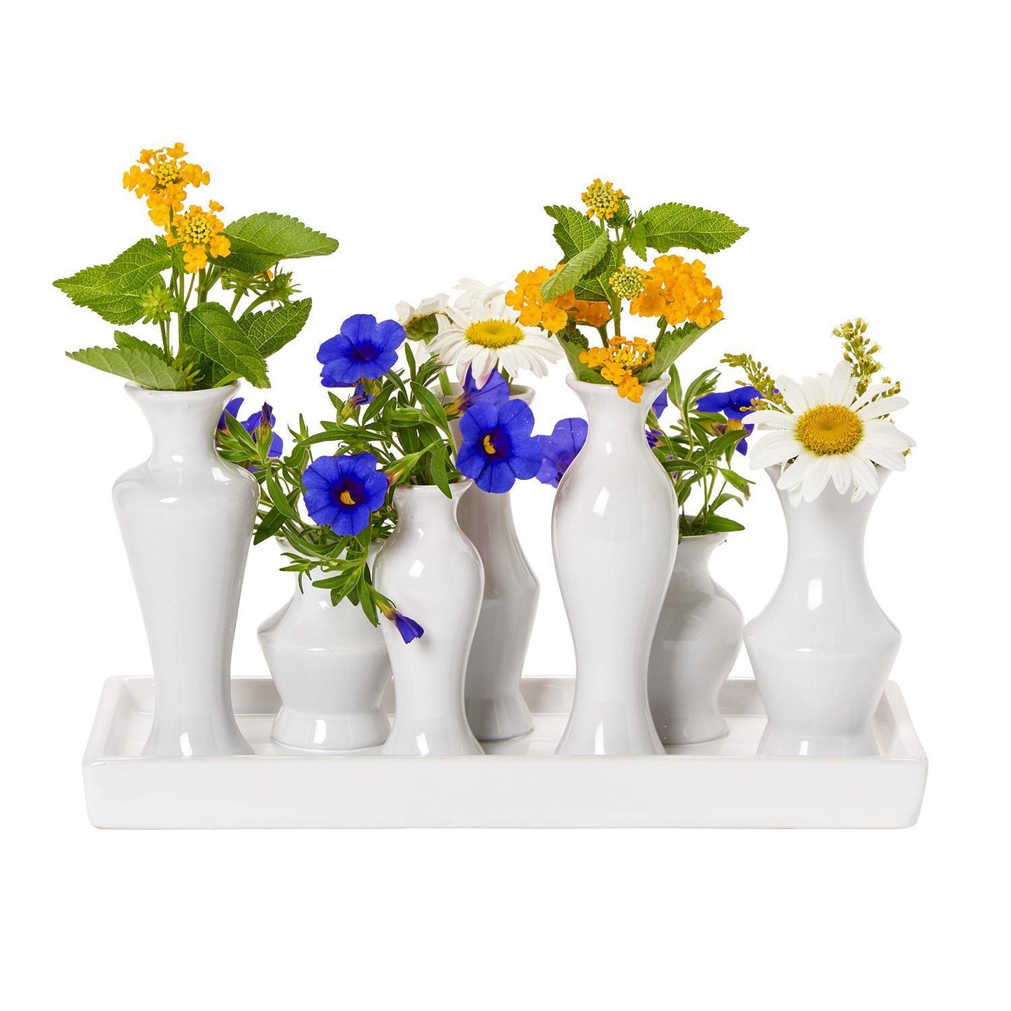 White Multi Vase Collection
