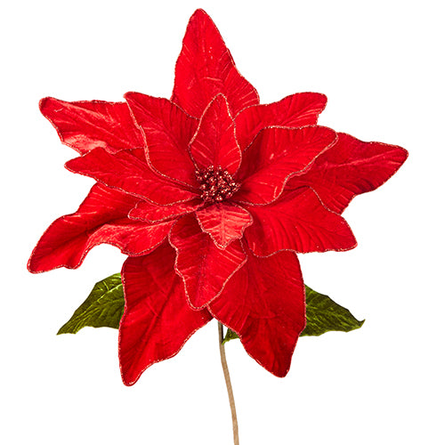 Red Velvet Poinsettia Stem