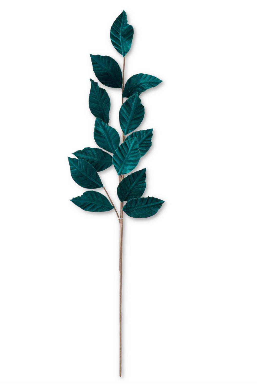 Teal Green Leaf Stem, 29"