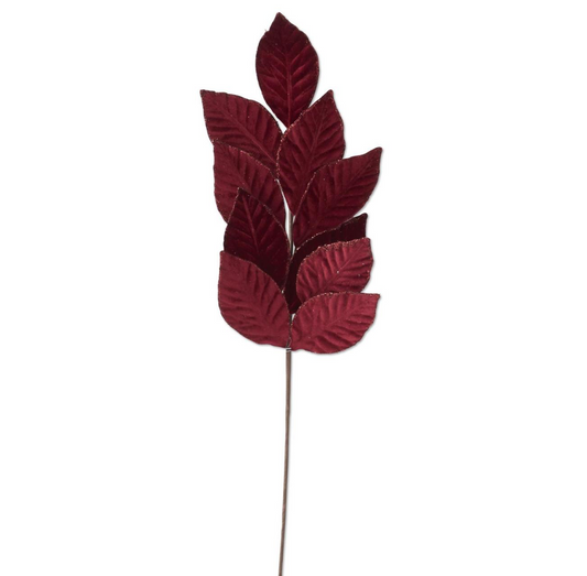 Red Leaf Stem