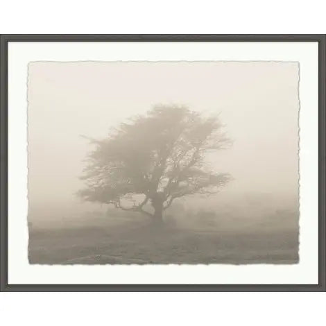 Misty Tree