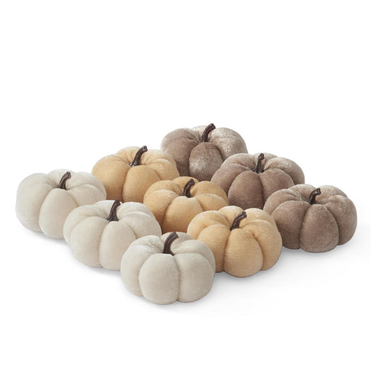 Mini Velvet Pumpkin Collection