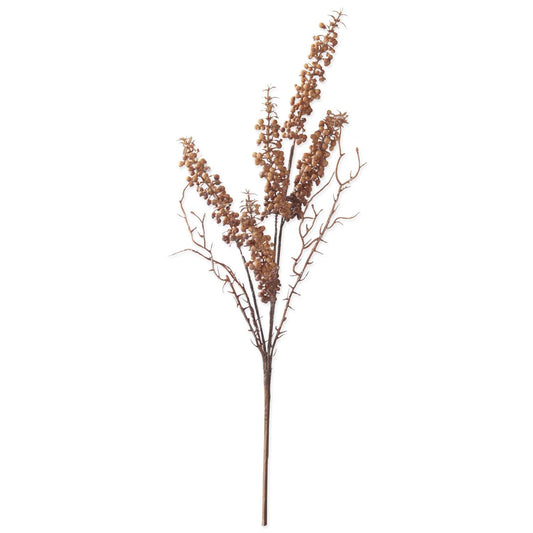 Berry Stem